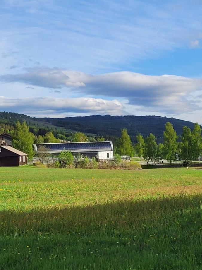 Friends & Family Apartment At Hafjell Alpinlandsby/Oyer Center 외부 사진