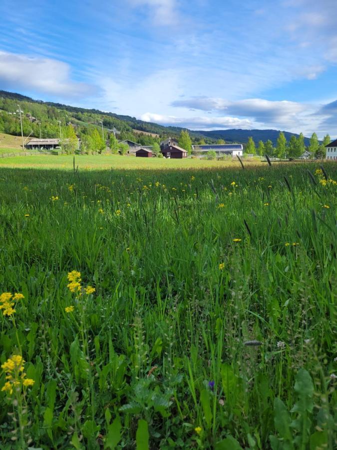 Friends & Family Apartment At Hafjell Alpinlandsby/Oyer Center 외부 사진