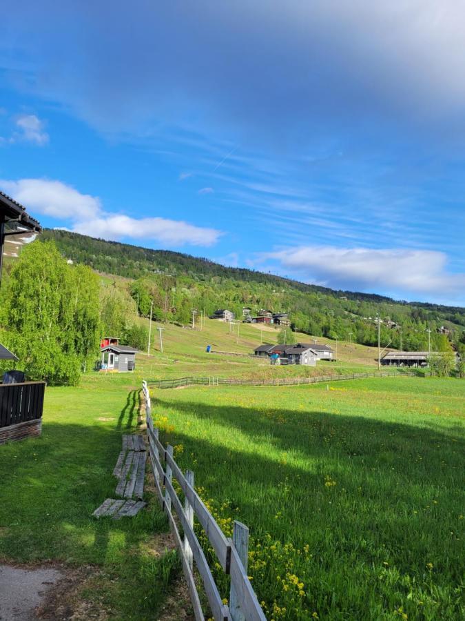 Friends & Family Apartment At Hafjell Alpinlandsby/Oyer Center 외부 사진